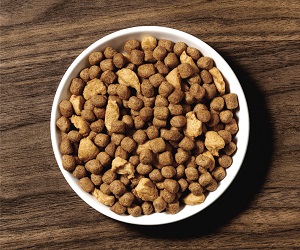A bowl of dry dog food kibble.